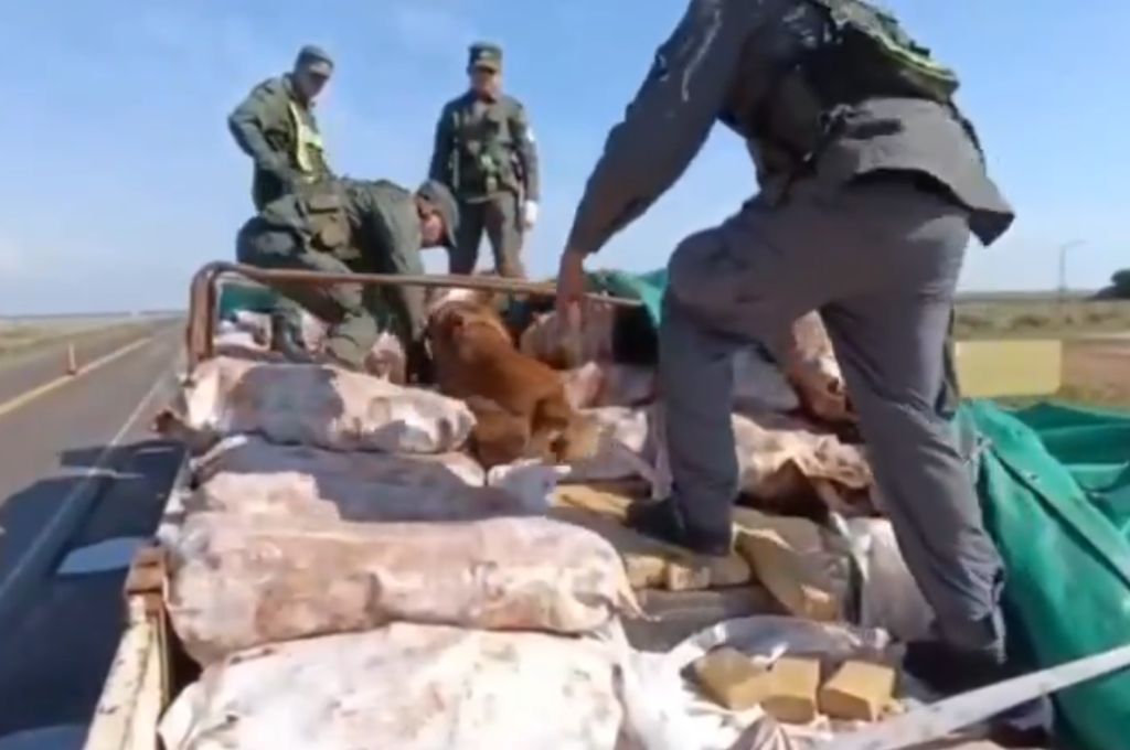 Operativo de Gendarmería Nacional