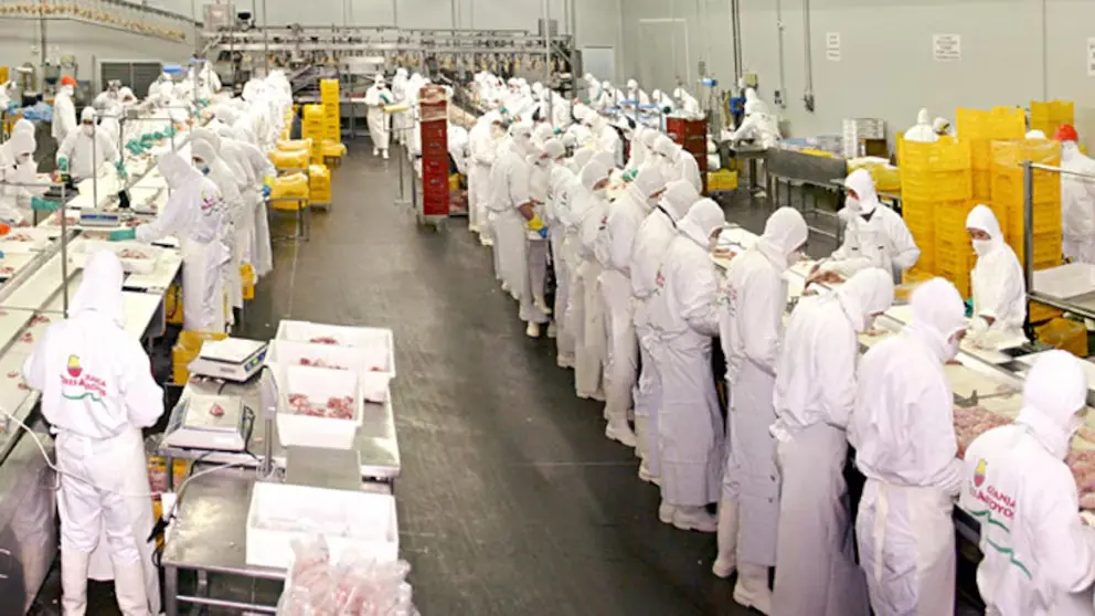 Crisis en Granja Tres Arroyos: cerró por tiempo indeterminado una planta en Entre Ríos y peligran 950 empleos