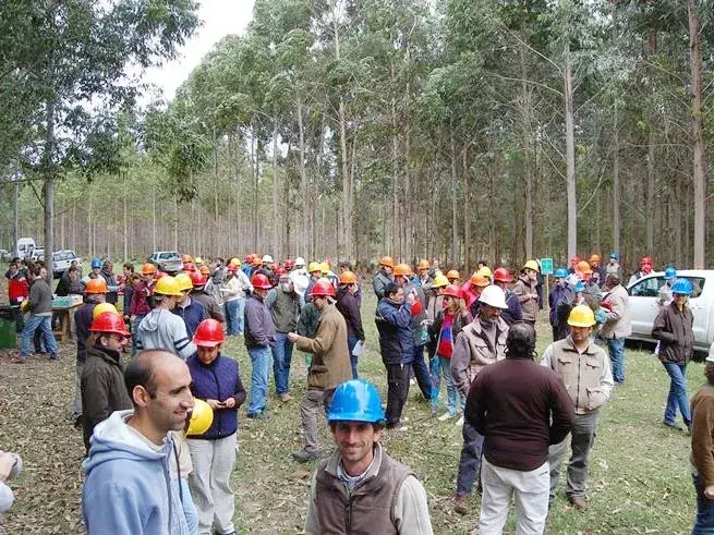 Las 40as Jornadas Forestales de Entre Ríos 2026 se realizarán en INTA Concordia