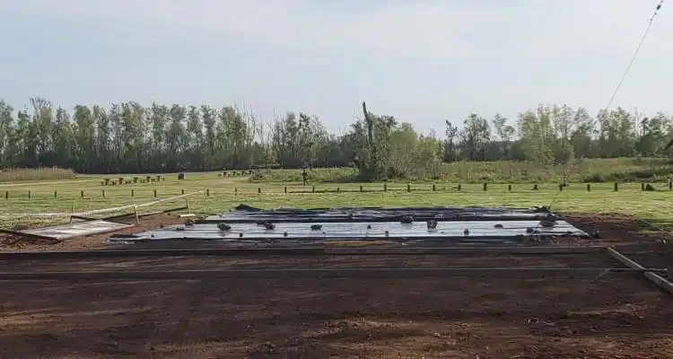 Comenzó la obra para instalar canchas y juegos en el Paseo Público