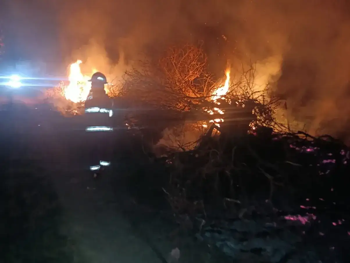 Bomberos extinguieron un incendio de pasturas en el sector norte de Rafaela - 3