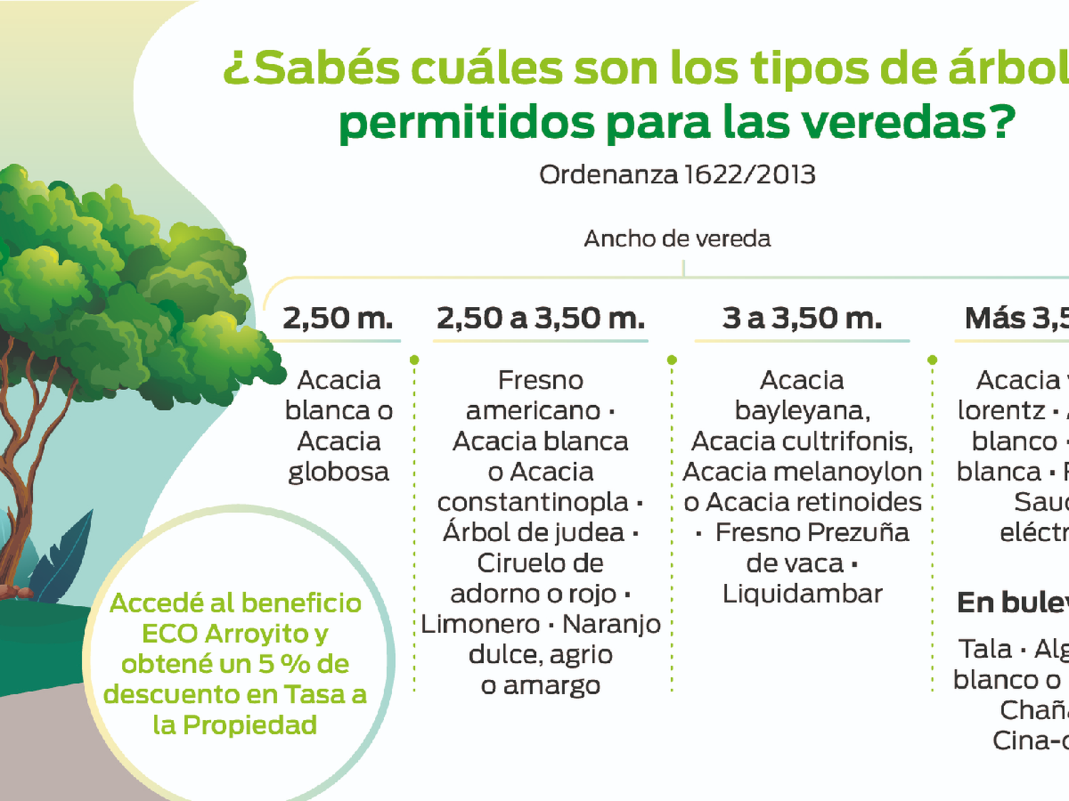 Eco Arroyito: descuentos en tasa a la propiedad a quienes foresten   