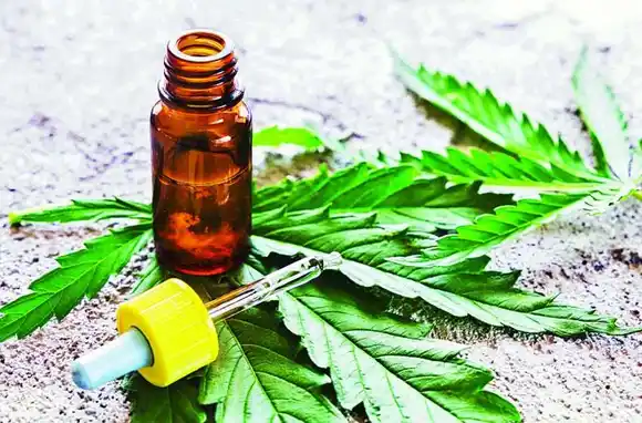 Cannabis medicinal: autocultivo y acceso gratuito, las claves de la nueva reglamentación