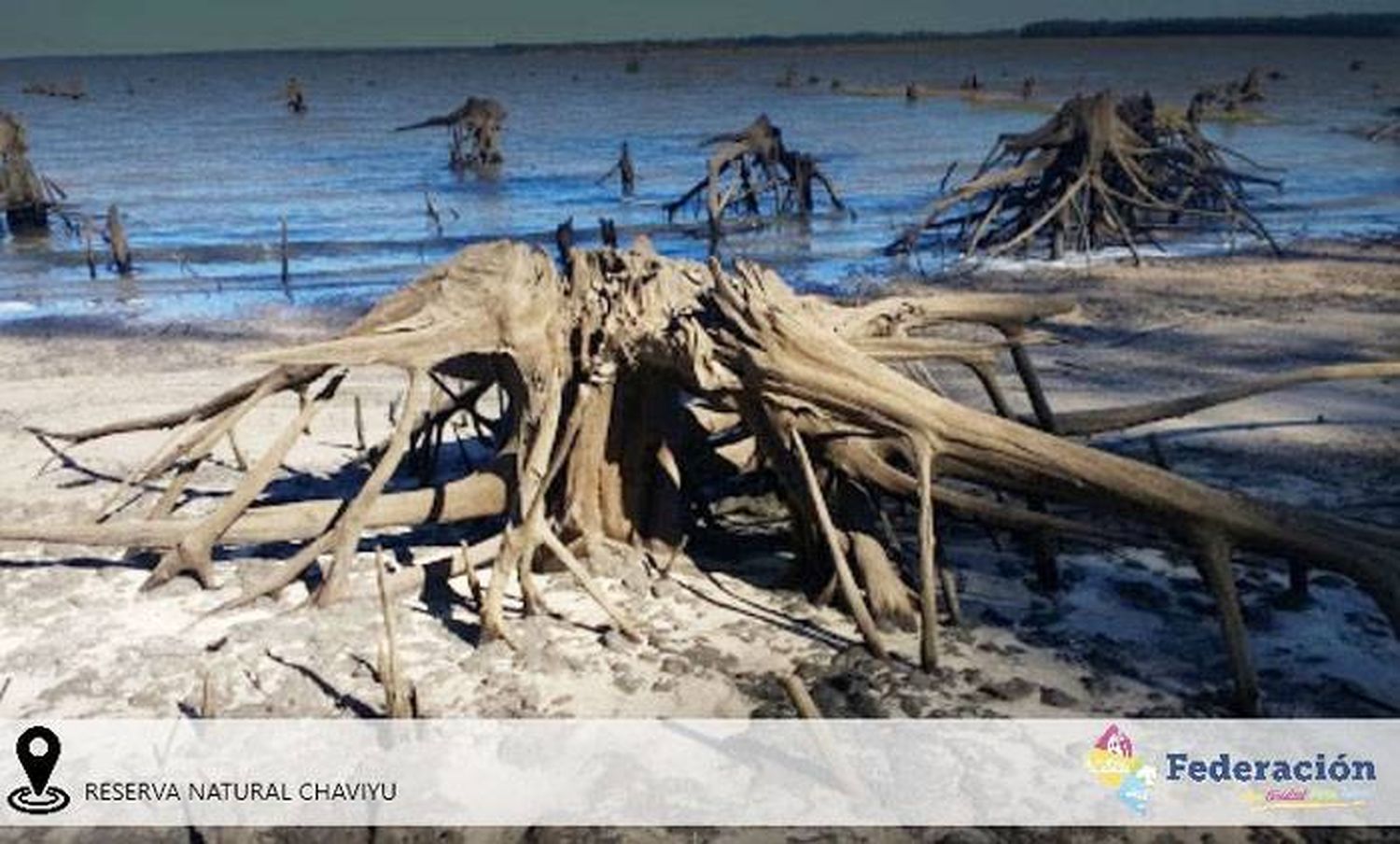 Turismo por un día en  Federación para el 9 de Julio