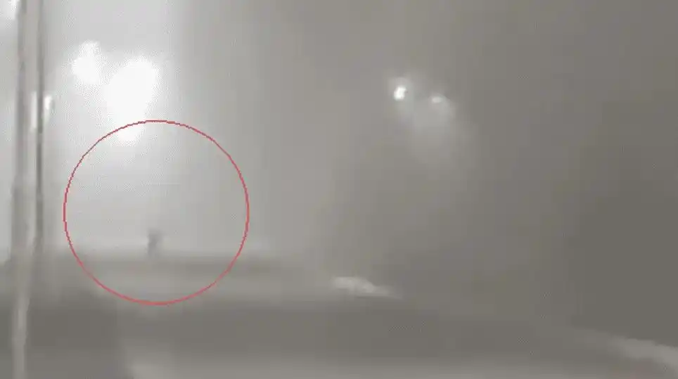 Pánico en el Conurbano por la aparición de un duende