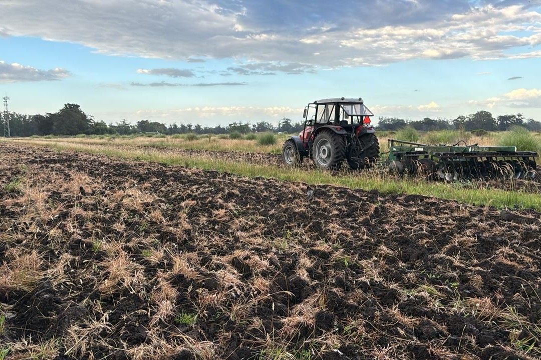 Las labores incluyen la apertura de 3000 metros de caminos internos para garantizar la accesibilidad al predio.