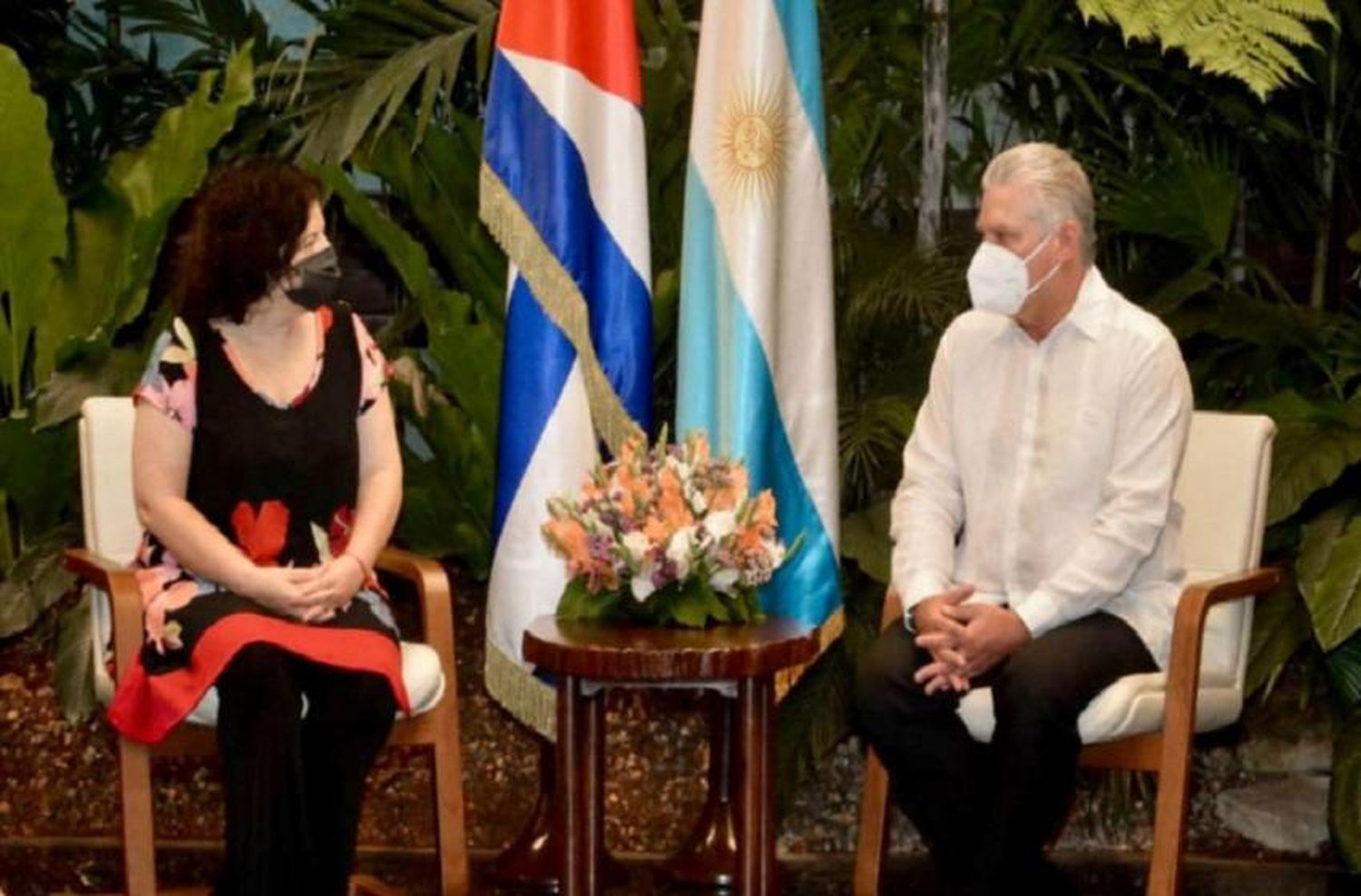 Vizzotti se reunió con el presidente de Cuba para interiorizarse más sobre la vacuna del país caribeño contra el coronavirus