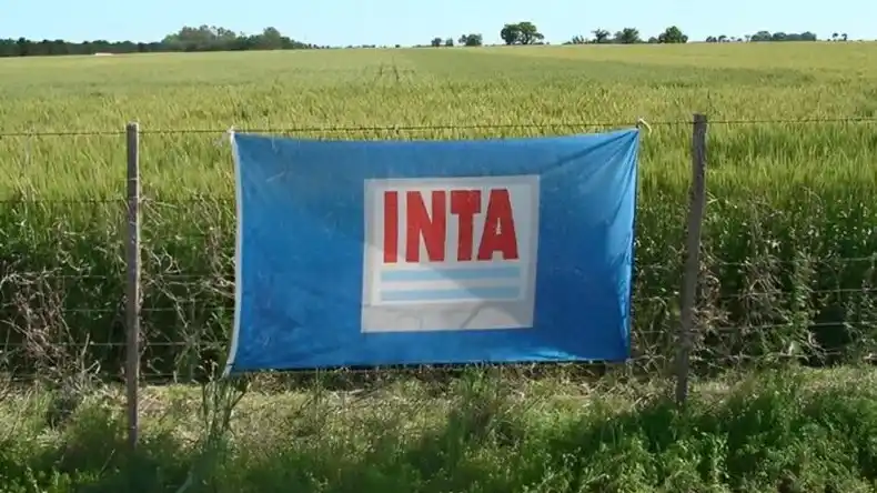 Novedades en el INTA.