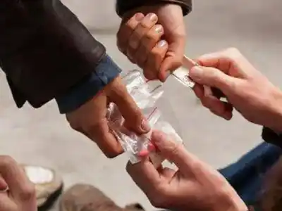 Venado: cuatro años de cárcel por venta de cocaína y marihuana