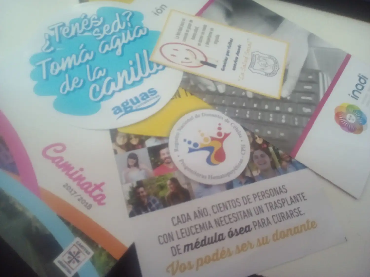 Se realiza la Octava Feria de las Organizaciones Sociales