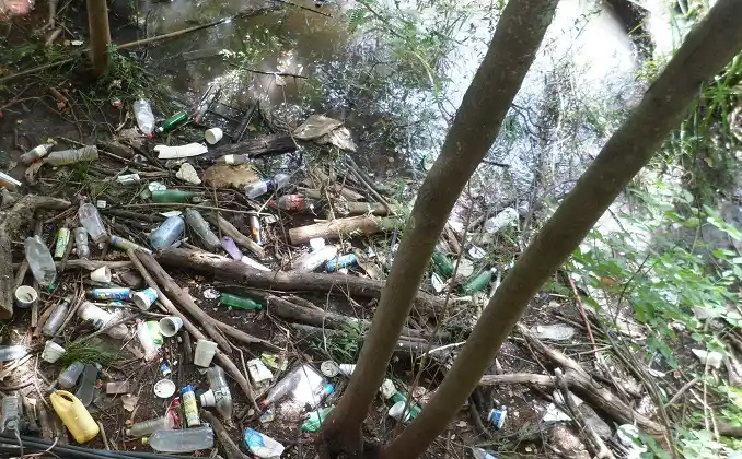 Botellas, plásticos, aerosoles: lo que deja la creciente y los malos hábitos 