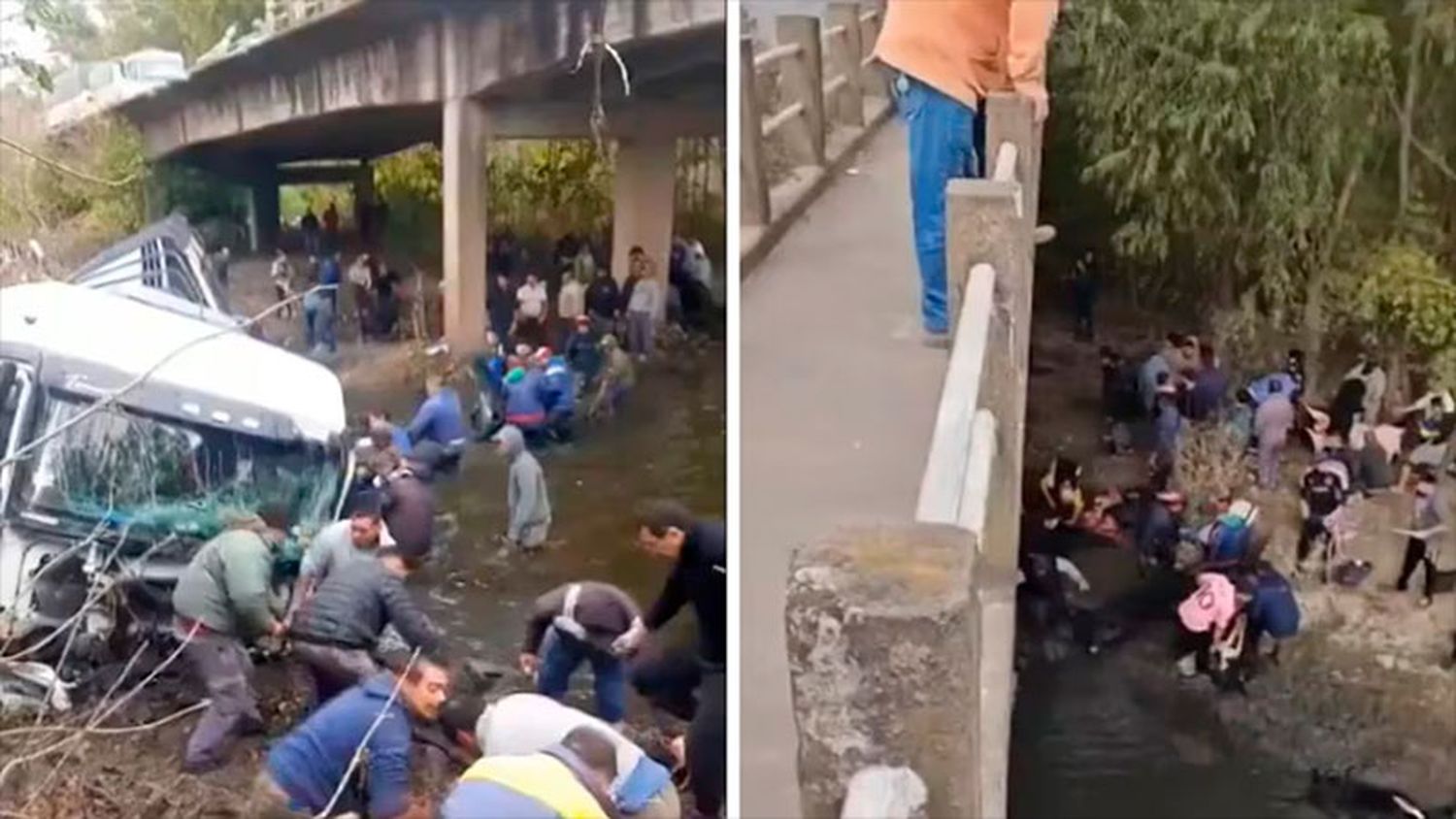 Camión cayó de un puente y la gente entró al río para faenar los vacunos