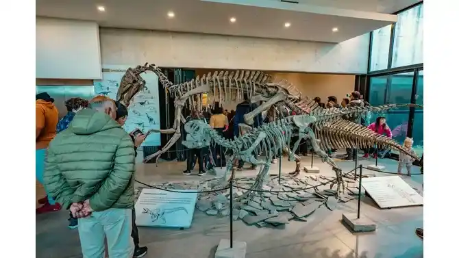 El Museo Scaglia cumple 58 años y anuncia visitas guiadas y muestra especial