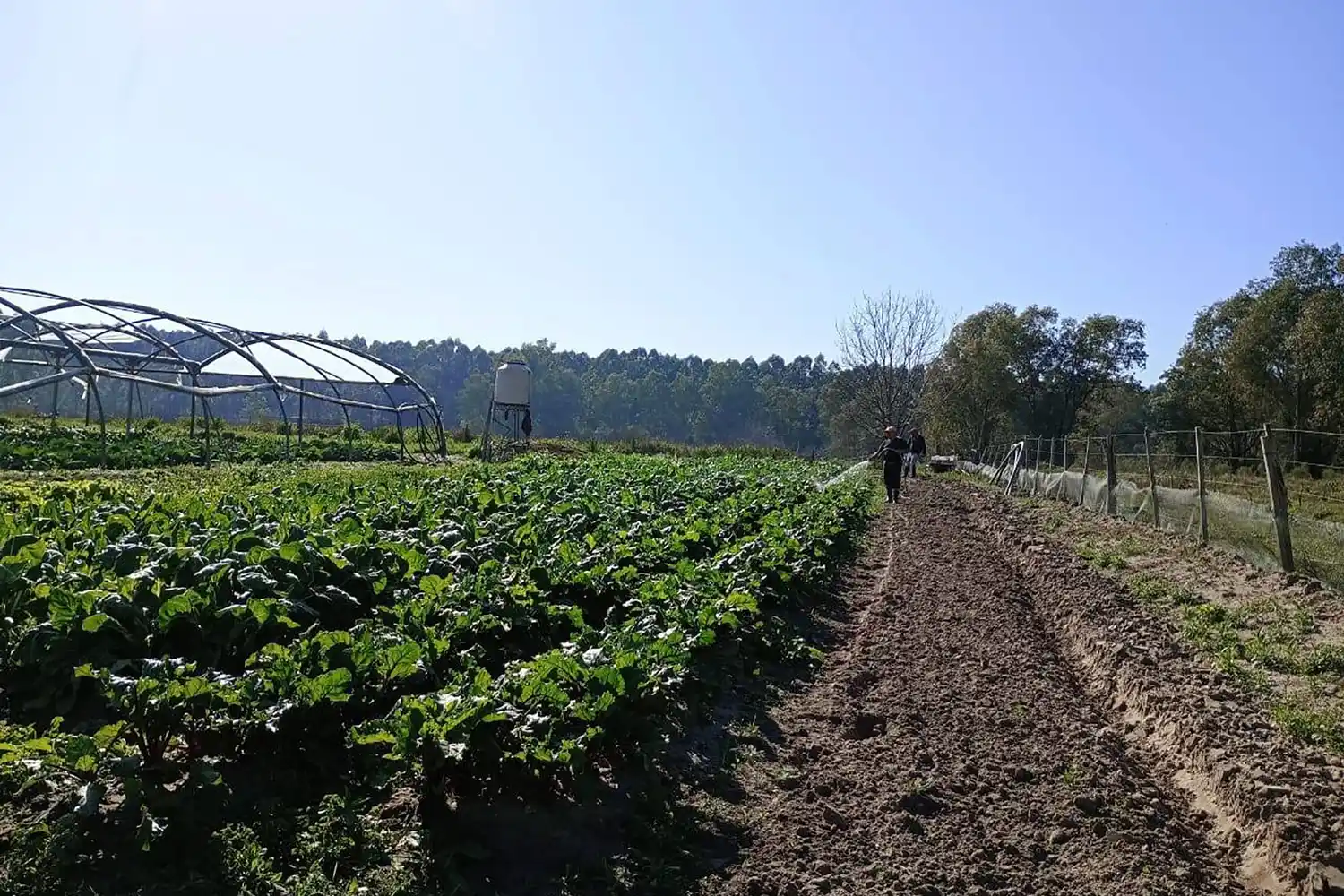 Victoria conformó su Consejo Local de Educación, Trabajo y Producción