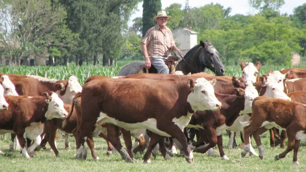 En Fucofa renuevan y actualizan la capacitación de su personal para la lucha contra las garrapatas