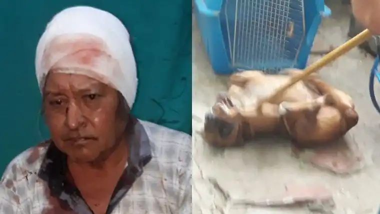 Un pitbull atacó a dos personas en zona noroeste