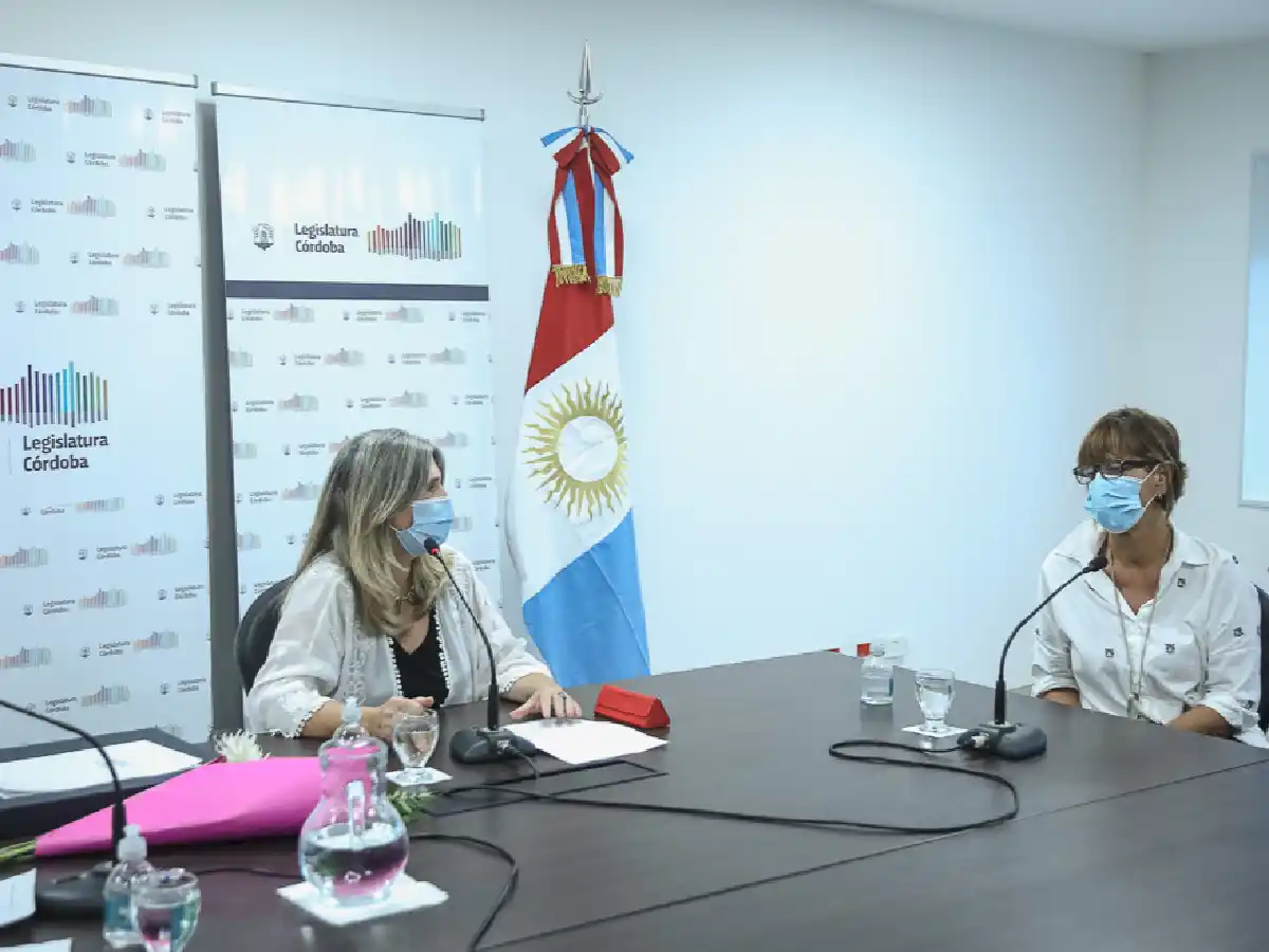 La Legislatura abordó el tema  de las mujeres en Malvinas