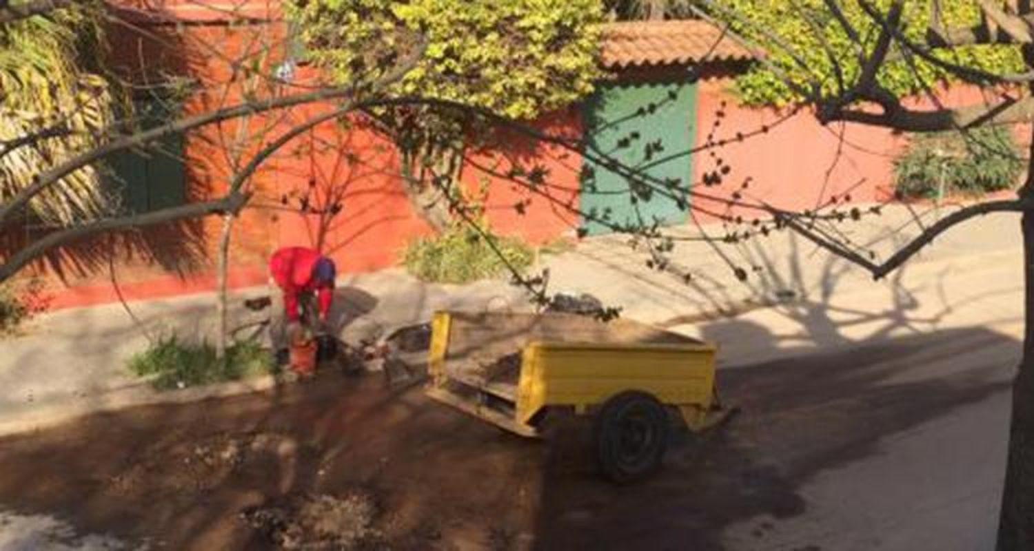Reporte y arreglo
