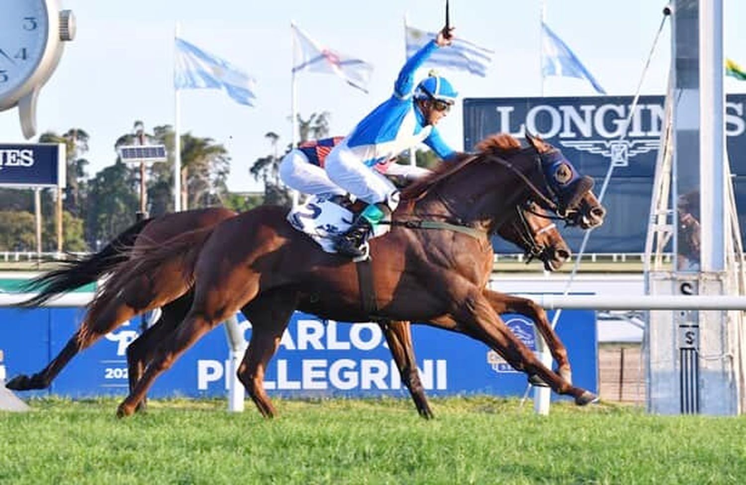 El Encinal, Ever Daddy y Miriñaque van por el título de Caballo del Año en las Distinciones Carlos Pellegrini.