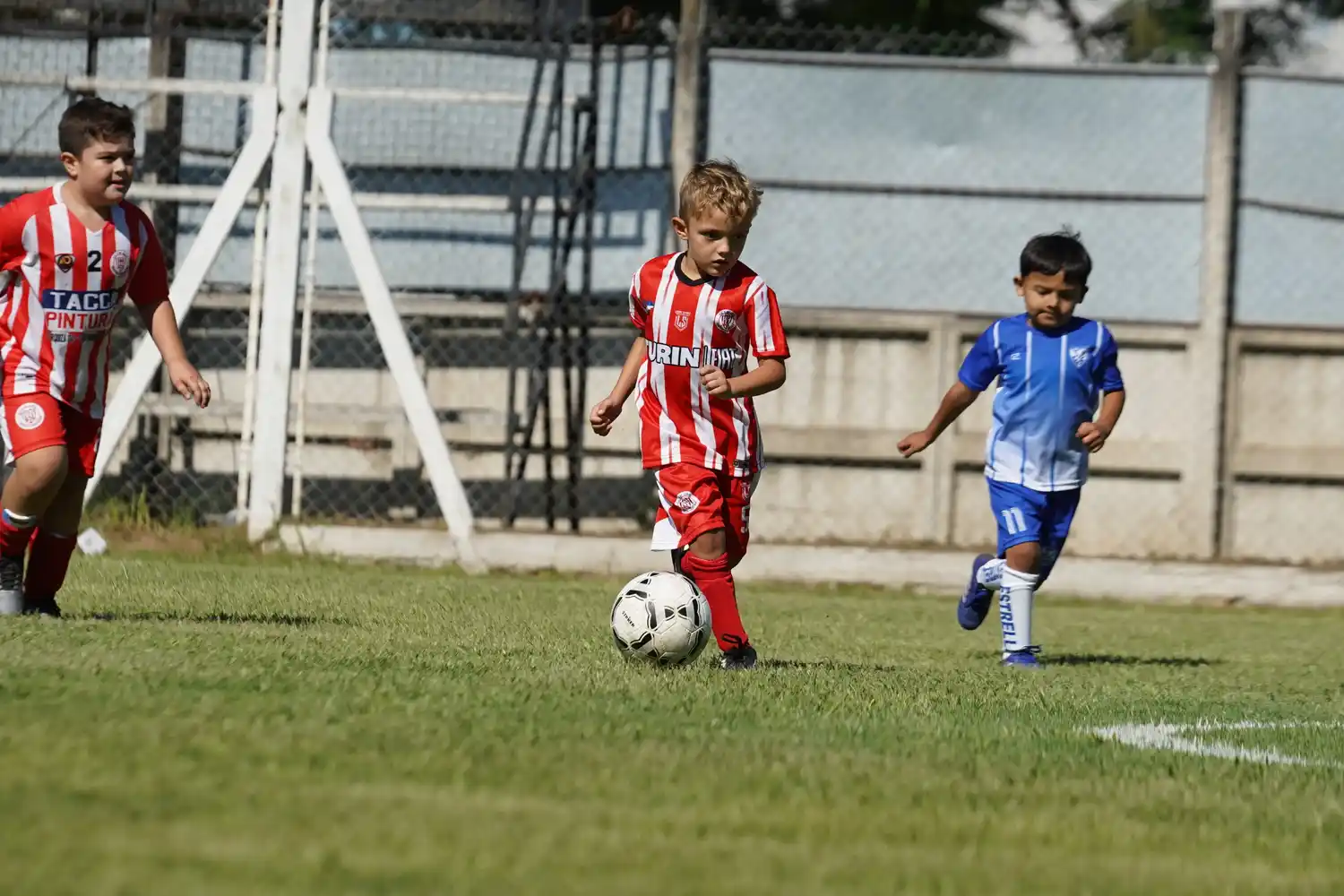 Las más chicos fueron los protagonistas del domingo.