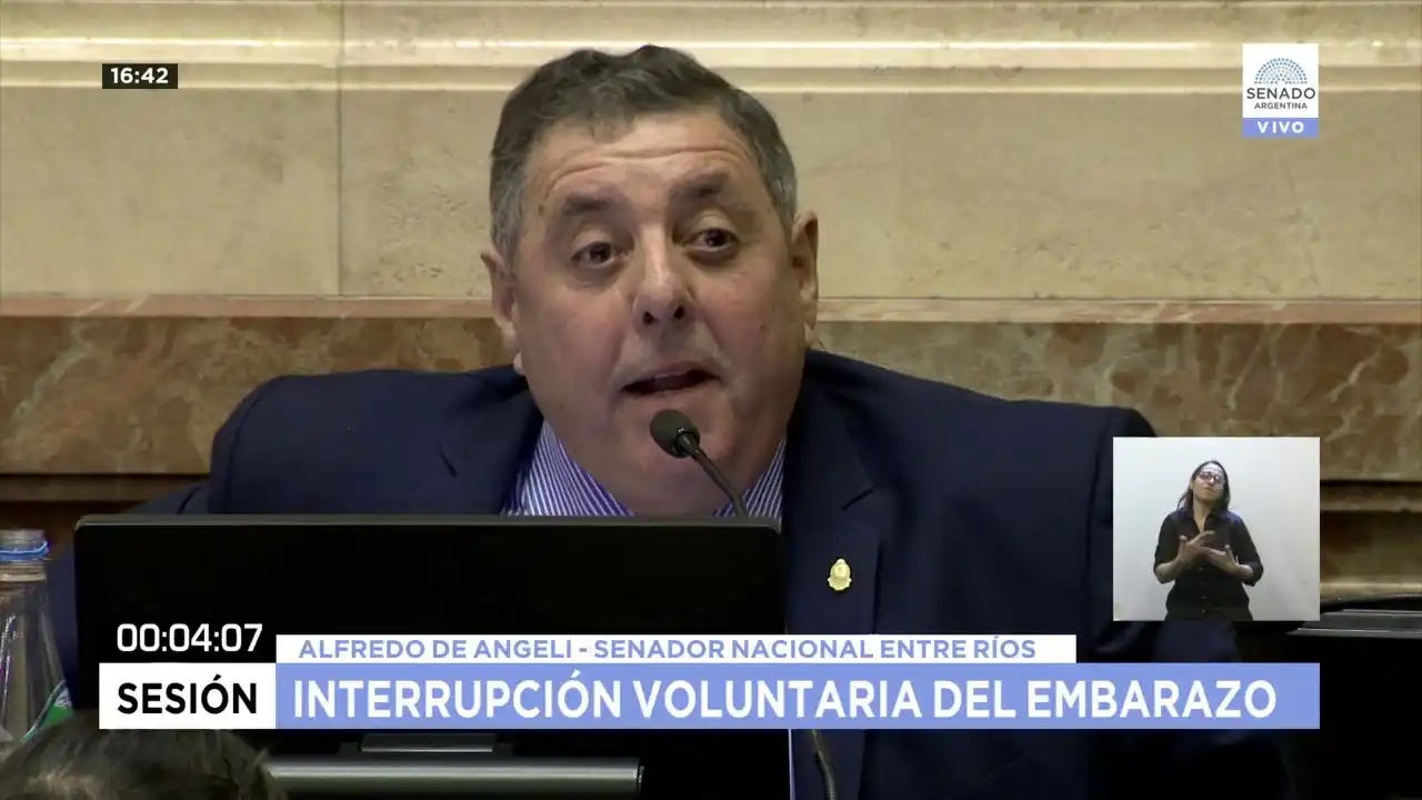De Angeli confirmó que votará en contra de la ley de Interrupción Voluntaria del Embarazo