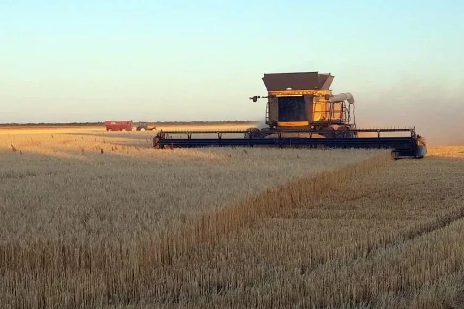 campo