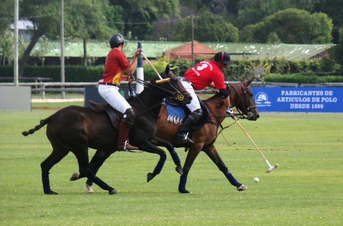 El polo finalmente, sólo podrá disputar la Copa de Oro. 