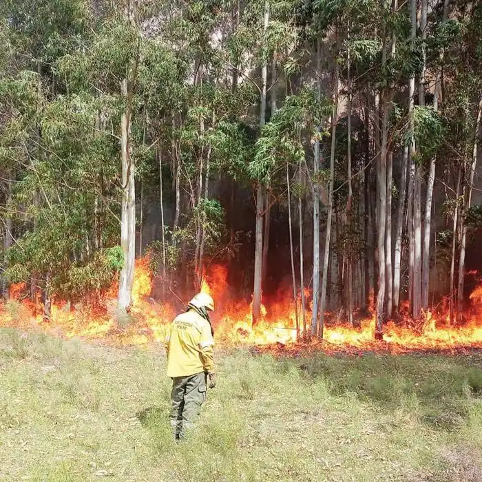 Intensa actividad de los Bomberos Voluntarios