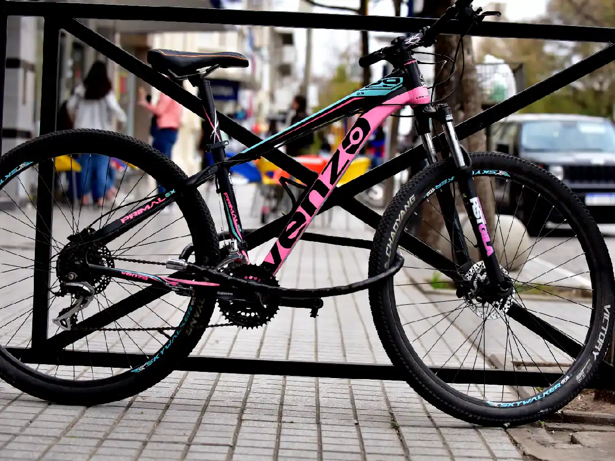 En la ciudad crecen los seguros para bicicletas   