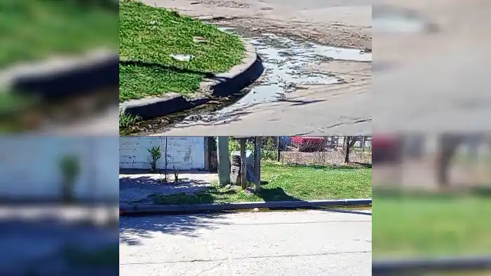 Cloaca tapada en Almafuerte y French