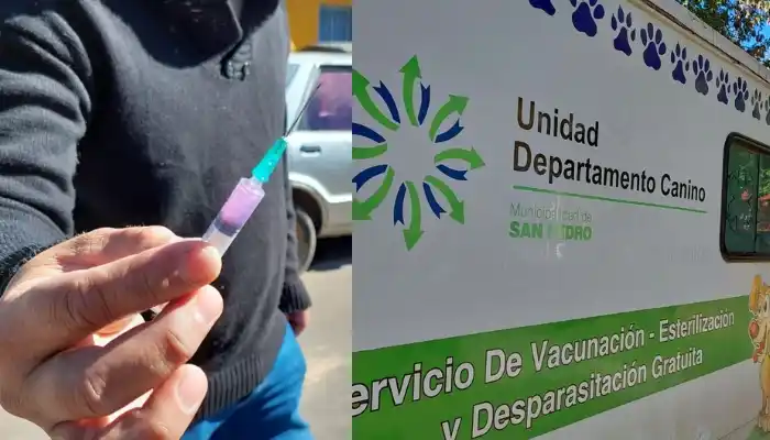 Vacunación antirrábica: cúando y dónde estará el consultorio móvil para perros y gatos