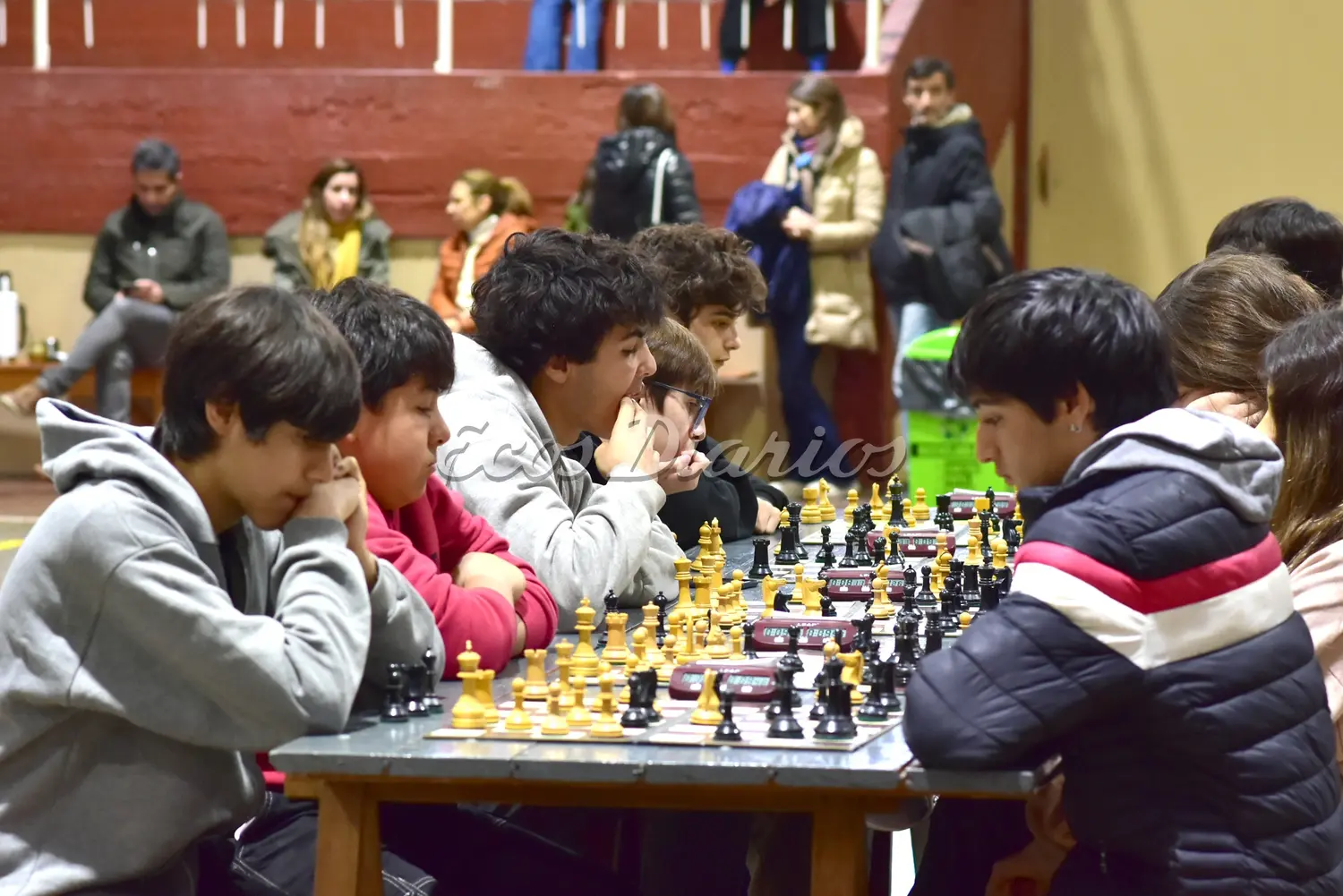Concentración. Durante la fecha del Prix del Atlántico en Necochea