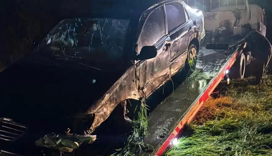 Accidente en Ruta 88: se conoció lo que pasó con el perro que acompañaba al tresarroyense herido