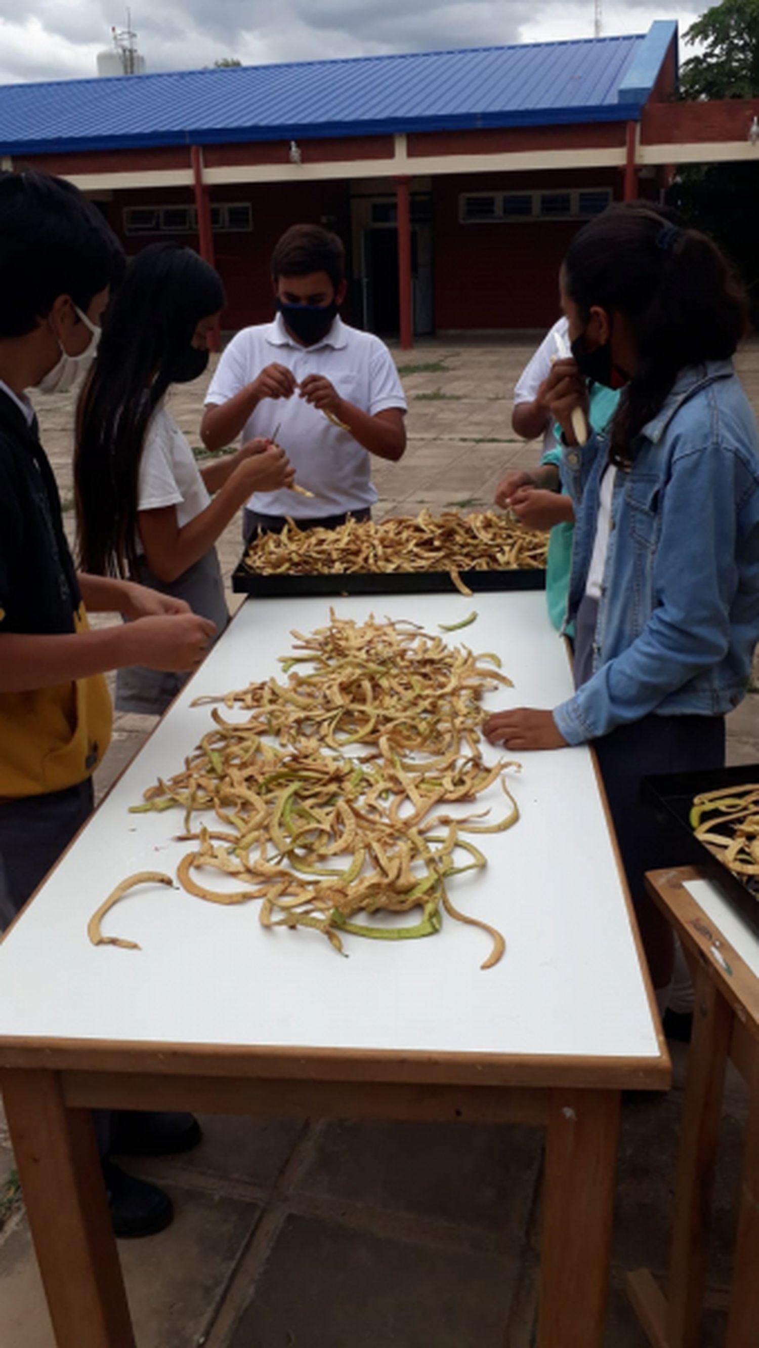 Alumnos de escuela de Guadalcázar fabricaron un deshidratador de algarroba