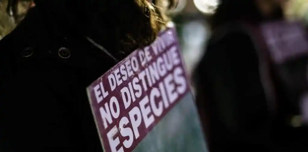 Crearon el Observatorio Nacional de la Vegefobia