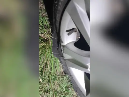 "Me gustaría saber quién se hace cargo de esto"