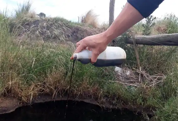 El canal que recibe los efluentes del relleno Sanitario supera los niveles de calidad del agua