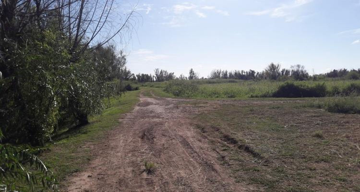 Un paso más para la Reserva  Natural Urbana en el Paseo N° 2