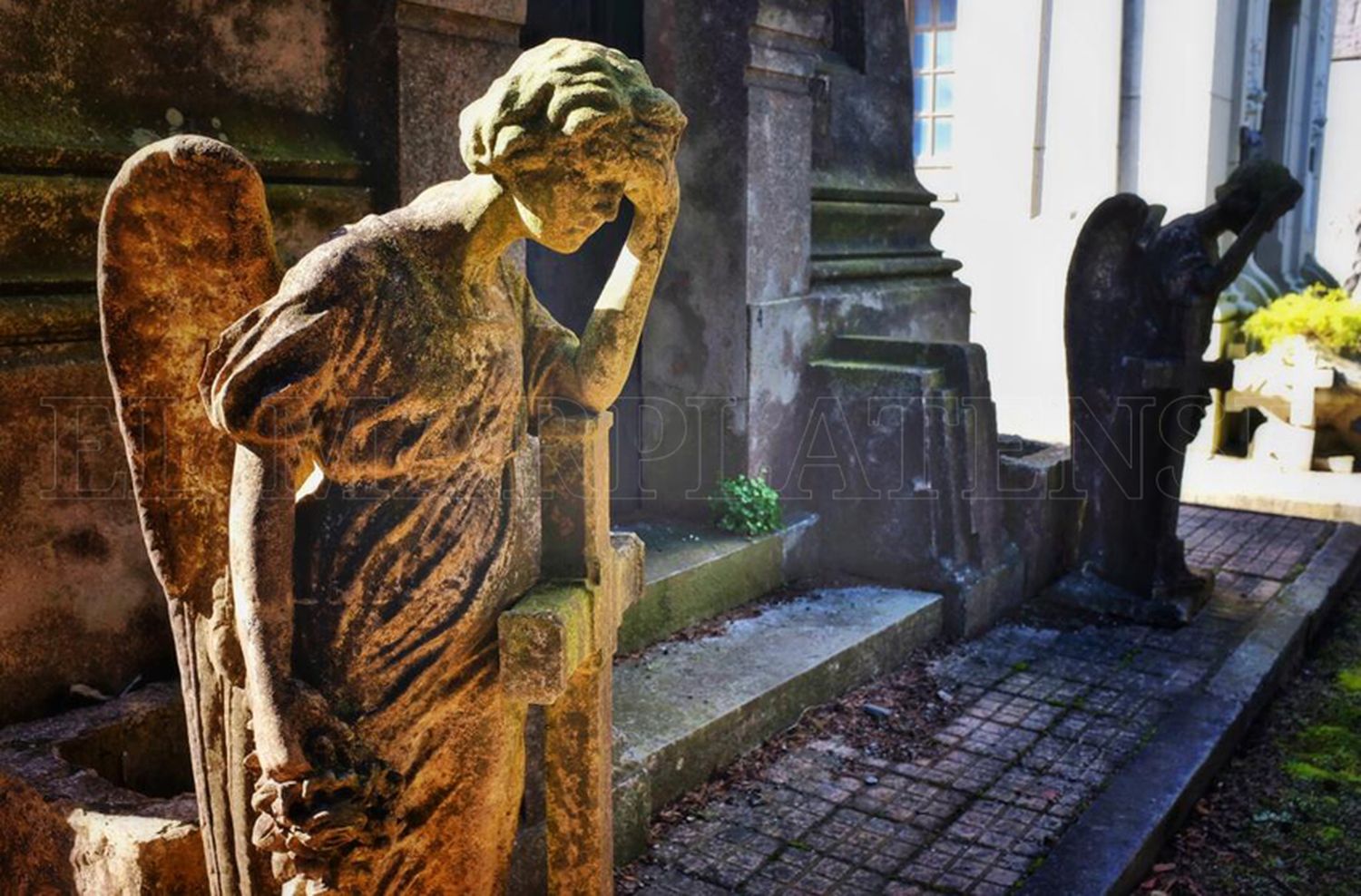 Hace un mes no se realizan cremaciones en el Cementerio Parque