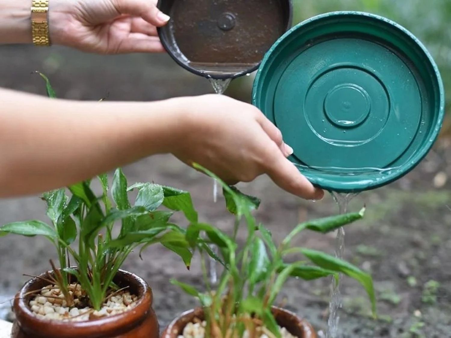 Refuerzan la campaña de descacharrización para prevenir el dengue tras las lluvias