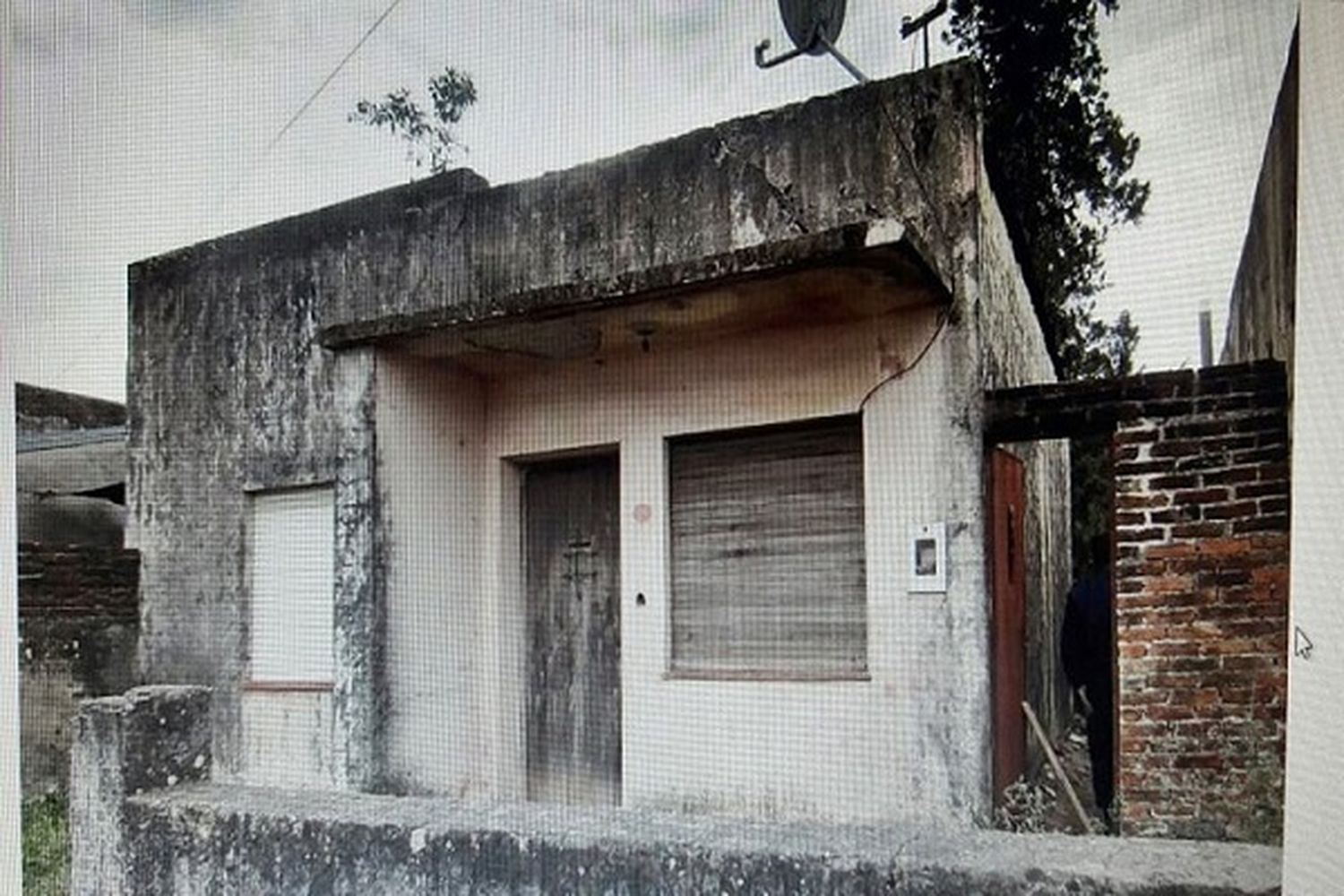 Un hombre murió en su casa y los gatos le comieron parte del rostro