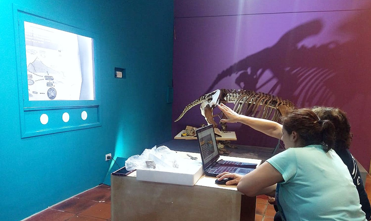 Trabajos en el museo. Avanzan con un proyecto de geología