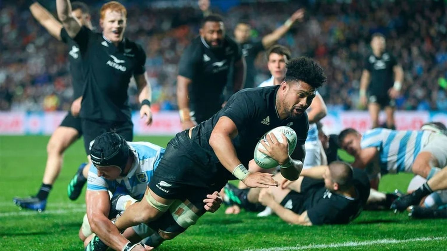 Dura derrota de Los Pumas ante los All Blacks