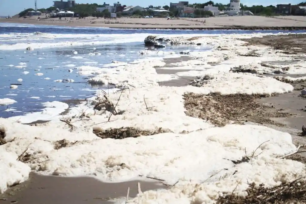 Claromecó: Lo que dejó la crecida del arroyo (Galería)