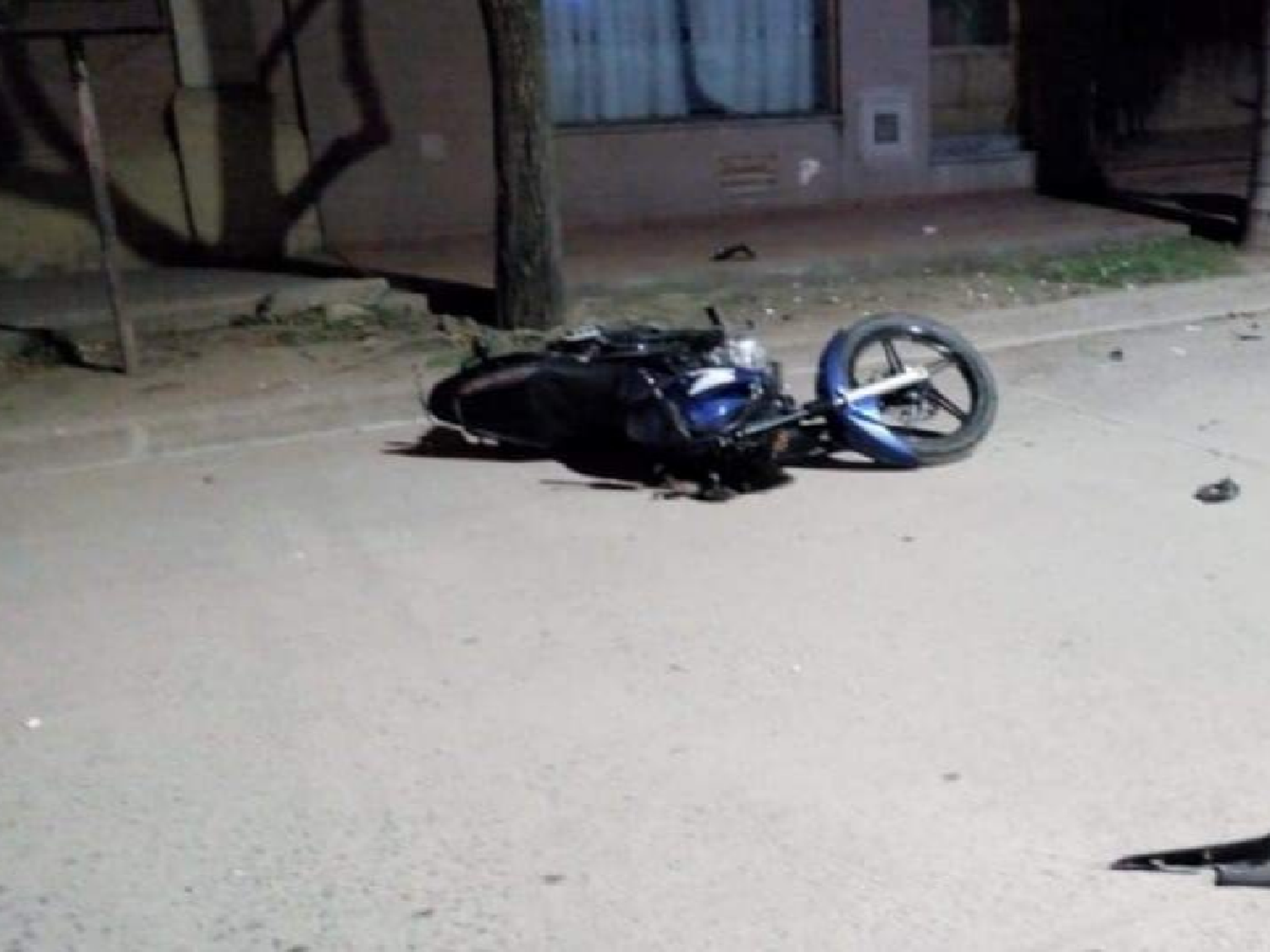 Chocó contra una palmera y murió en Sacanta