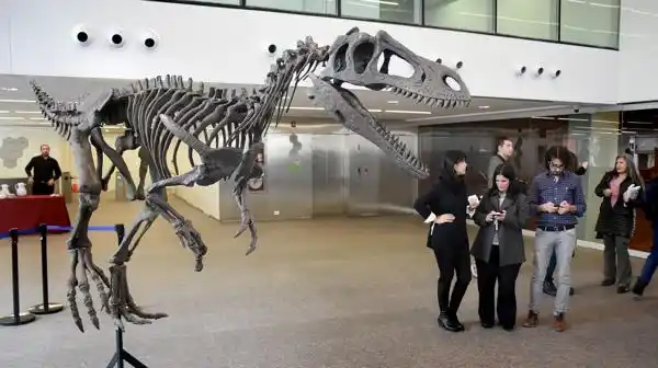 Gualicho, el nuevo dinosaurio carnívoro hallado en la Patagonia