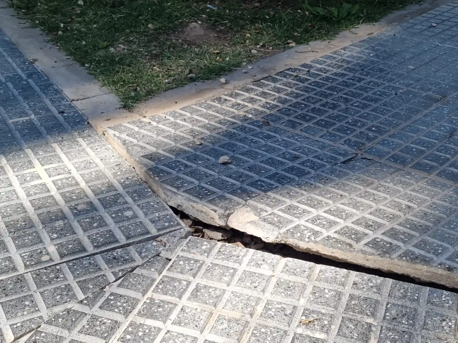 Baldosas plaza Constitución