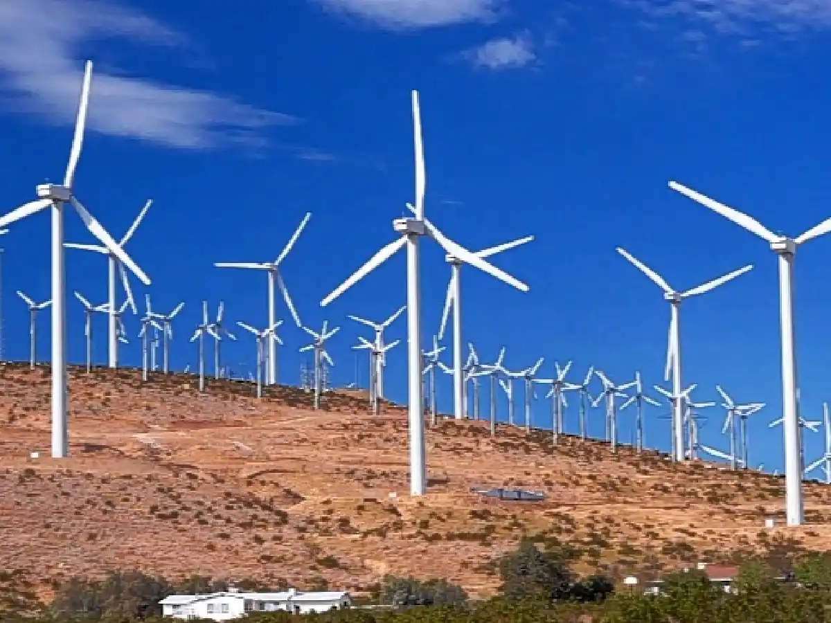 El Banco Mundial aprobó una garantía de u$s 480 millones para proyectos en energías renovables