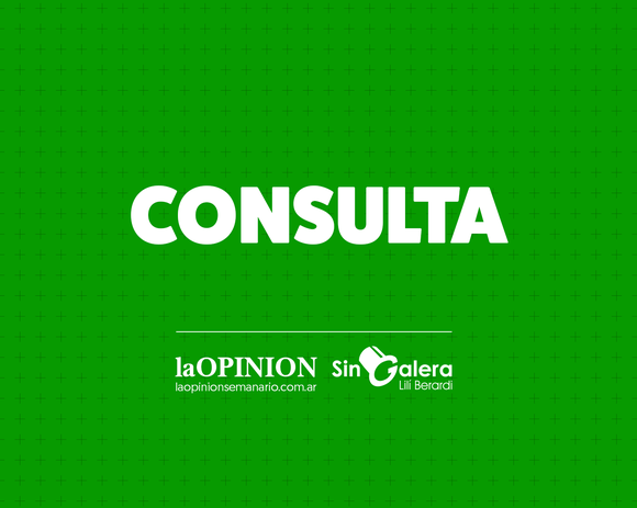 “Faltan árboles, ¿cuál es el motivo?