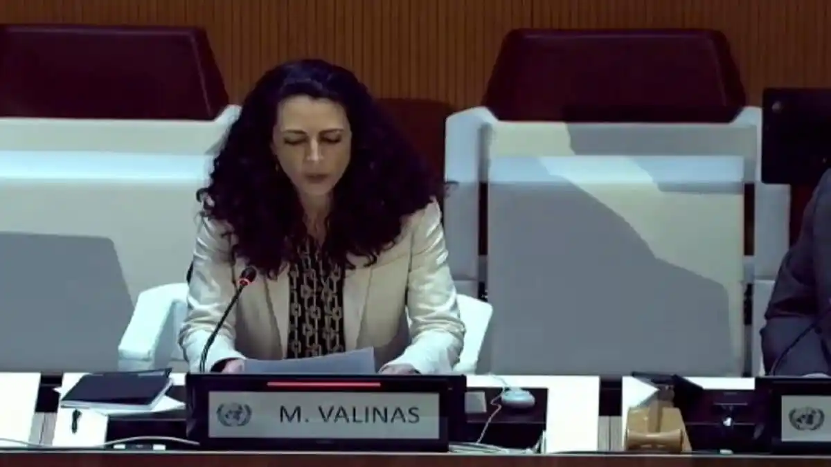 Misión de Determinación de la ONU alerta sobre «falta de independencia de las instituciones» en Venezuela